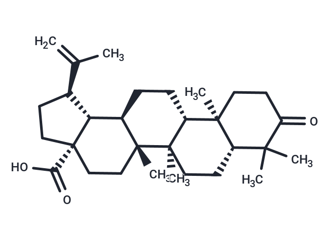 Betulonic acid