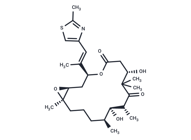 Epothilone B