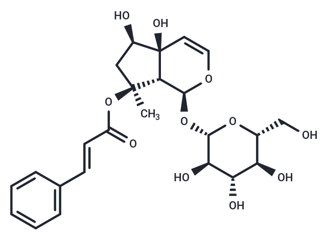 Harpagoside