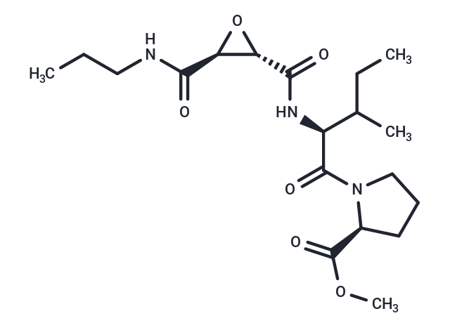 CA-074 methyl ester