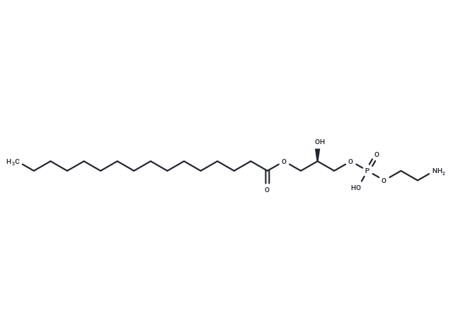 1-Palmitoyl-2-hydroxy-sn-glycero-3-PE