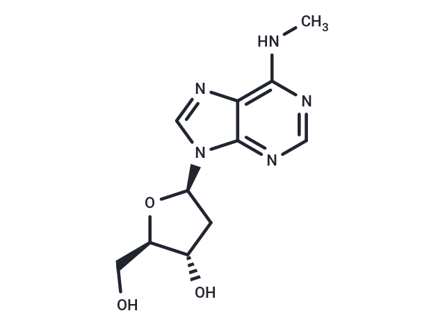 2'-Deoxy-N6-methyl adenosine