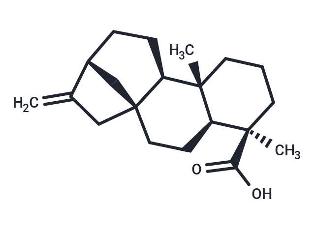 Kaurenoic acid