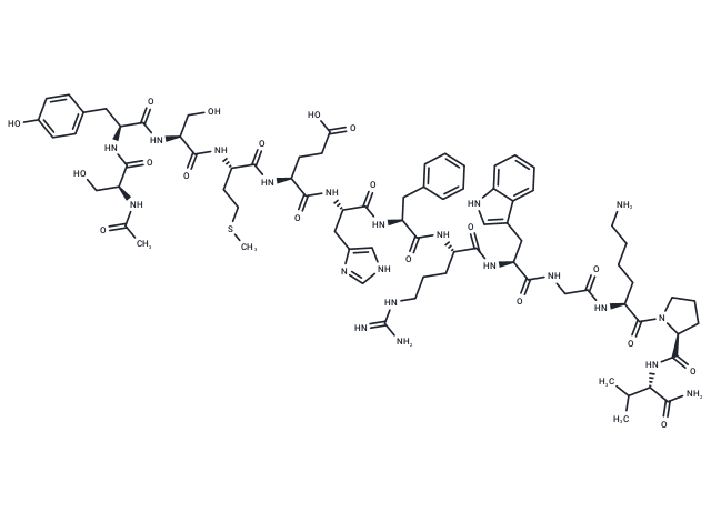 α-MSH