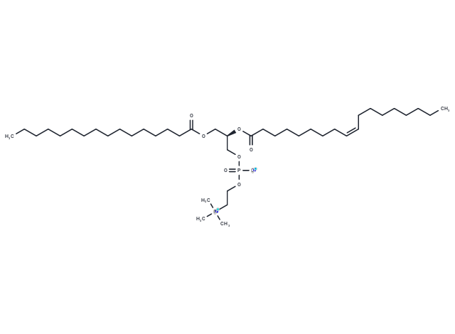 1-Palmitoyl-2-oleoyl-sn-glycero-3-PC