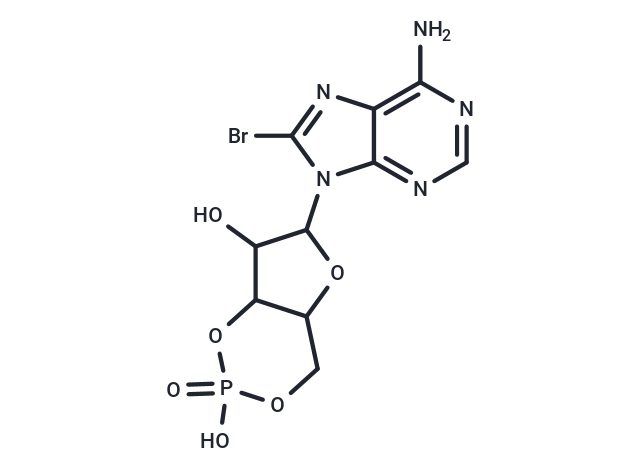 8-bromo-Cyclic AMP