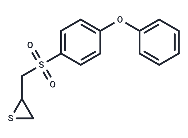 SB-3CT