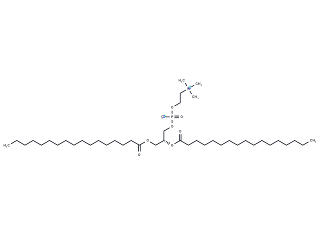 1,2-Diheptadecanoyl-sn-glycero-3-phosphorylcholine