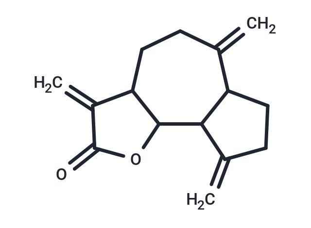 Dehydrocostus Lactone