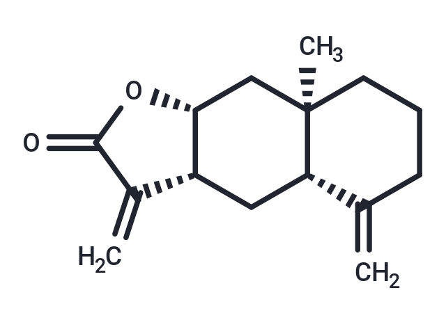 Isoalantolactone