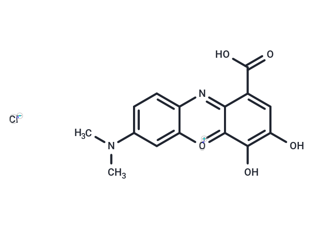 Gallocyanine