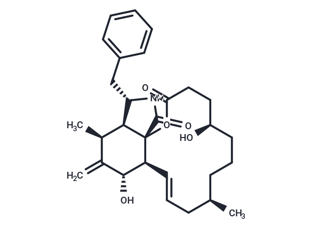 Dihydrocytochalasin B