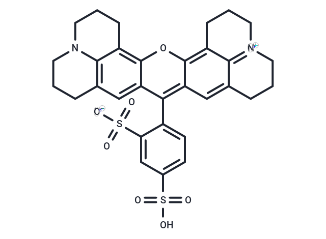 Sulforhodamine 101