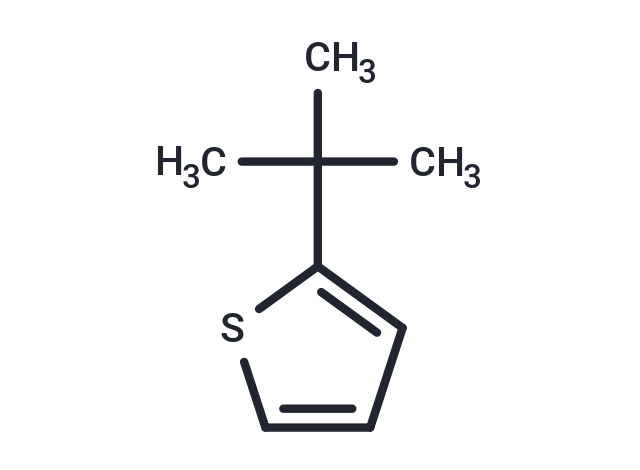 2-tert-Butylthiophene