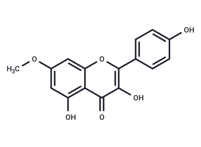 Rhamnocitrin