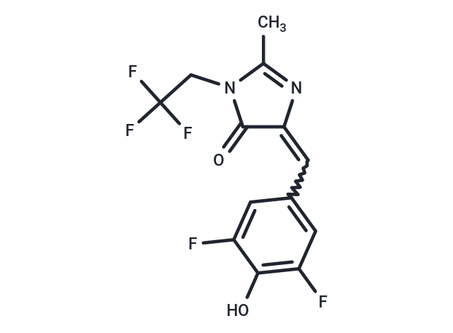 DFHBI-1T