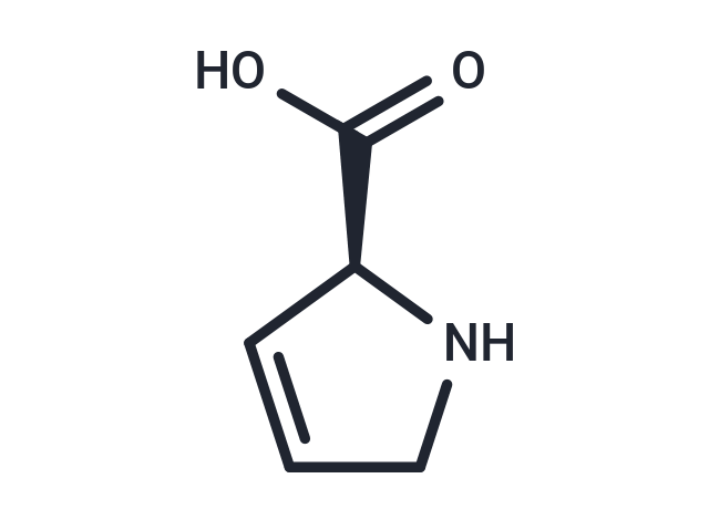 3,4-Dehydro-L-proline