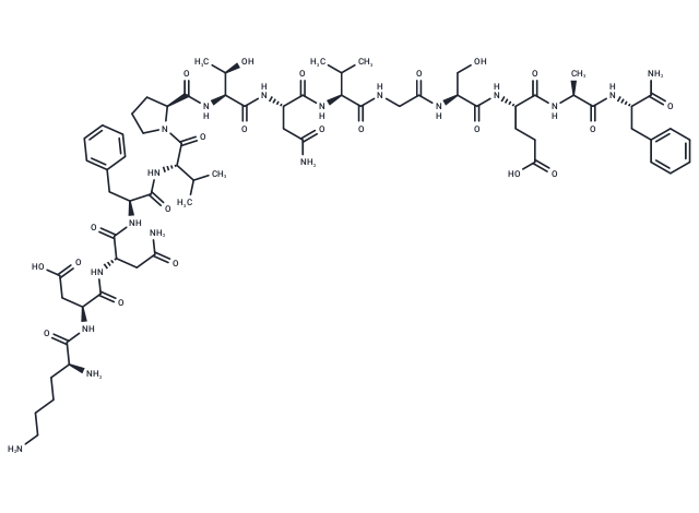 CGRP 8-37 (rat)