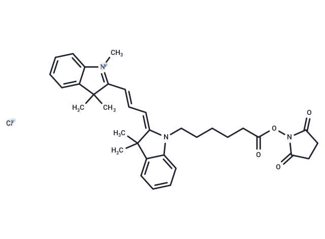 Cy3 NHS ester