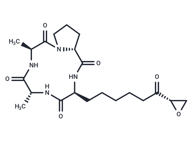 HC Toxin