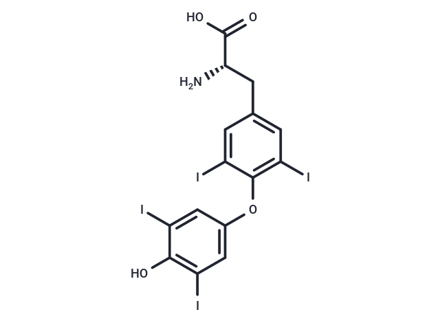 L-Thyroxine