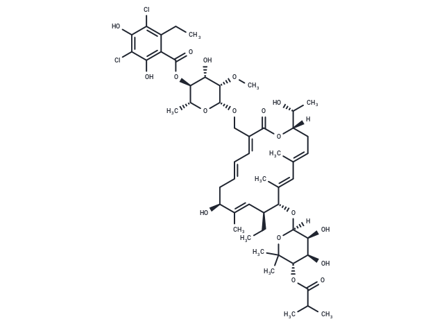 Fidaxomicin