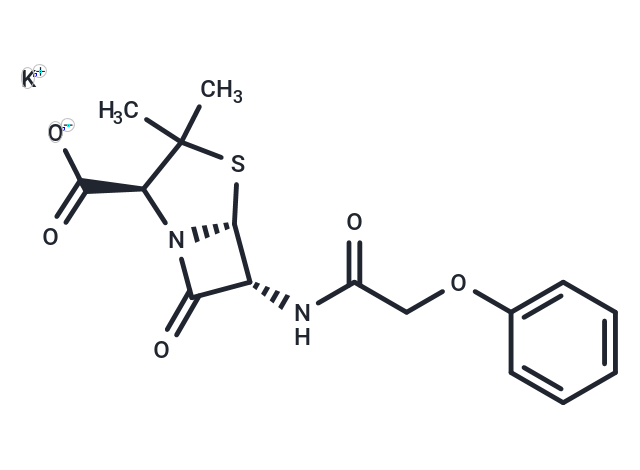 Penicillin V Potassium [132-98-9]