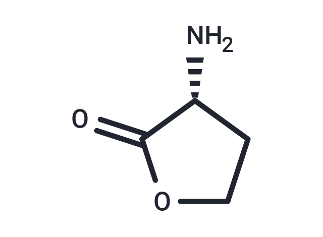 D-Homoserine lactone