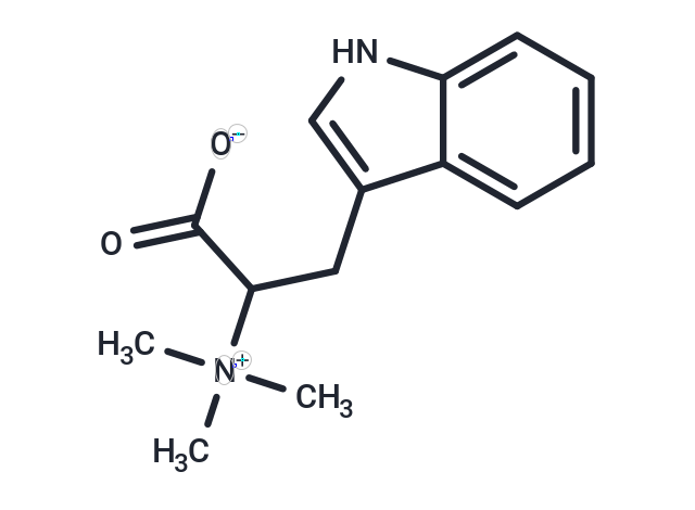 Hypaphorine