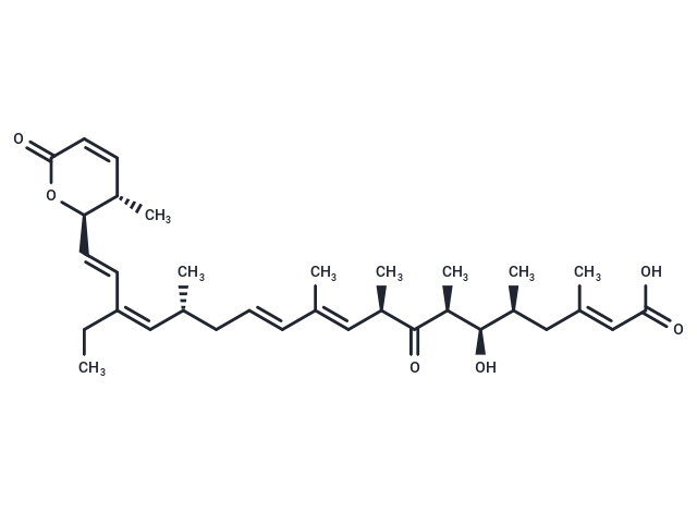 Leptomycin B