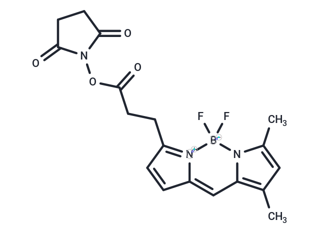 BODIPY-FL NHS ester