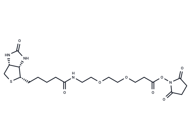 Biotin-PEG2-NHS ester