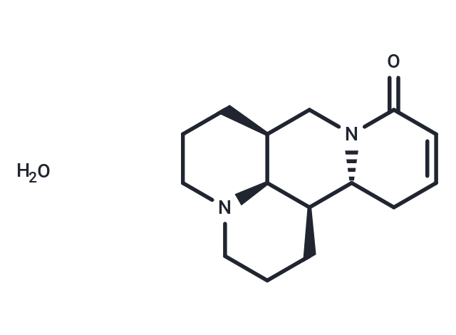 Sophocarpine monohydrate