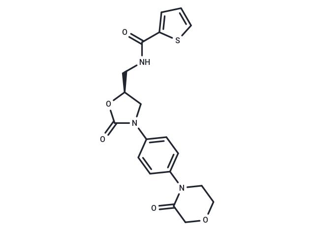 Dechloro Rivaroxaban