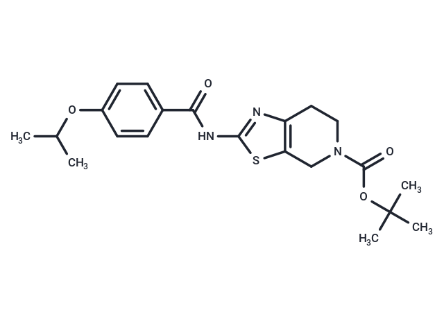 Autogramin-2