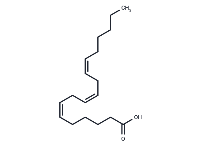 gamma-Linolenic acid