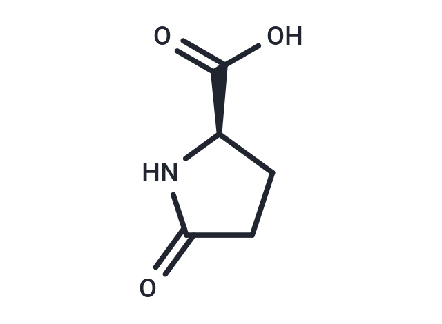 (R)-5-Oxopyrrolidine-2-carboxylic acid