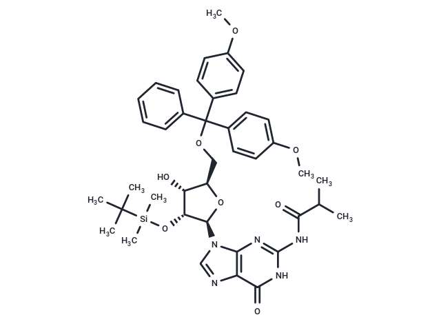 5'-O-DMT-2'-O-iBu-N-Bz-Guanosine