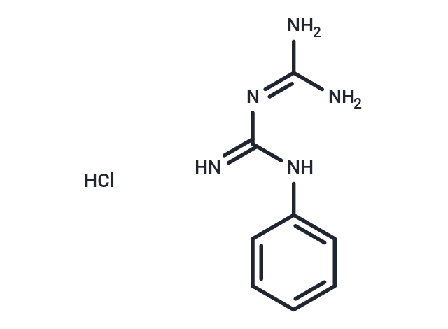 1-Phenylbiguanide HCl