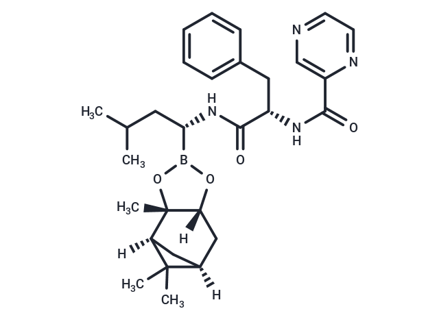 Bortezomib-pinanediol