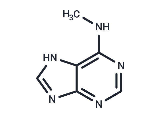 N6-Methyladenine