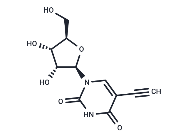 5-Ethynyluridine