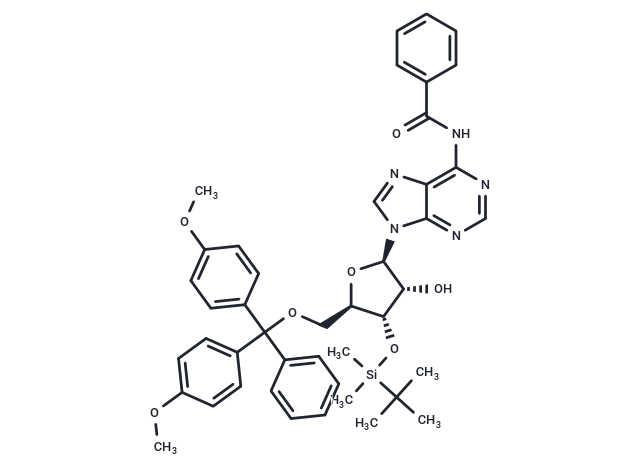 5'-DMT-3'-TBDMS-Bz-rA