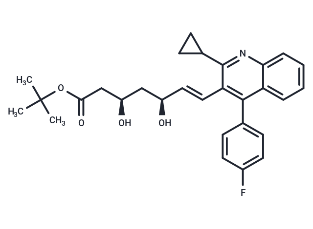 Tert-Buthyl Pitavastatin