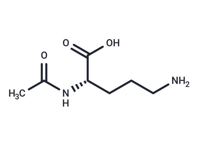 N-Acetylornithine