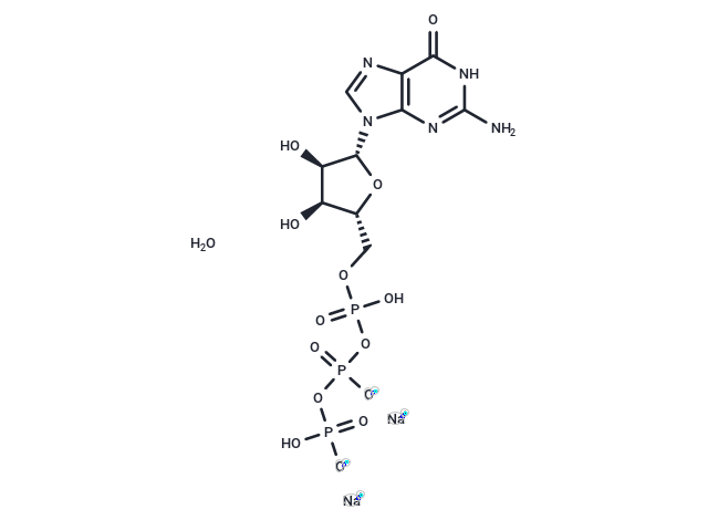 Guanosine-5'-triphosphate disodium salt