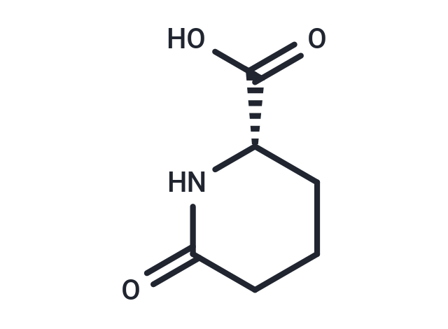 L-Pyrohomoglutamic Acid