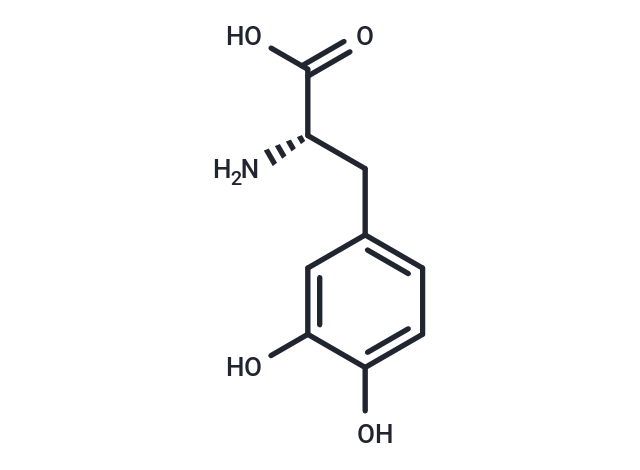 L-DOPA