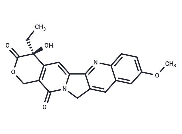 10-Methoxycamptothecin