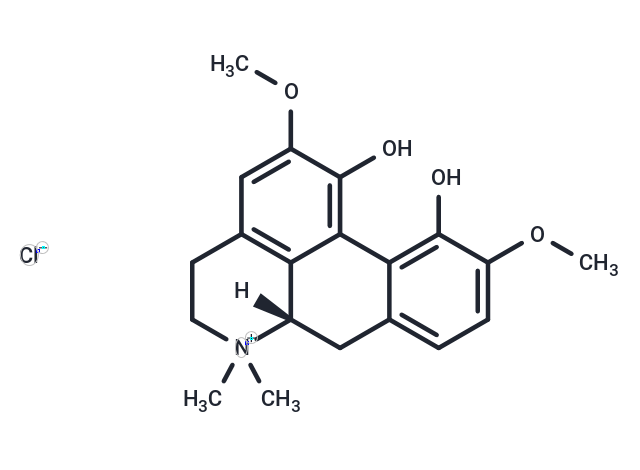 (+)-Magnoflorine chloride